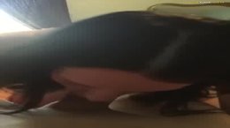 sexy homemade vid