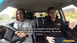 fake taxi