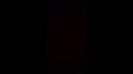 Thumb 11