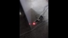 Thumb 7