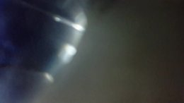 Not porn video