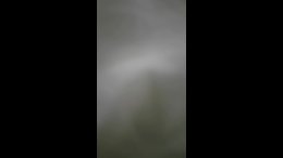 Thumb 15