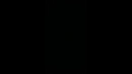 Thumb 7