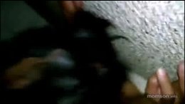 Thumb 15
