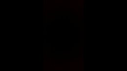Thumb 12