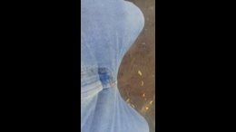 Thumb 12