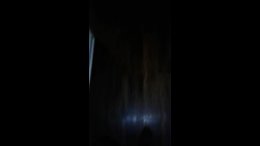 Thumb 7