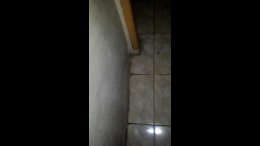Blowhib on job