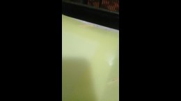 Thumb 8