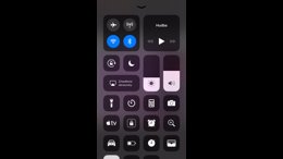 Thumb 11