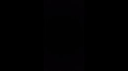Thumb 7