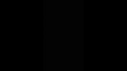 Thumb 11