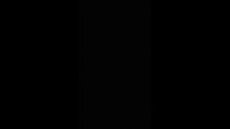 Thumb 12