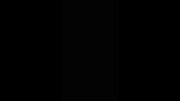 Thumb 14