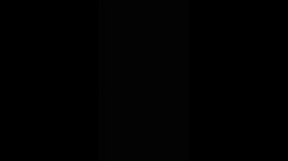 Thumb 15