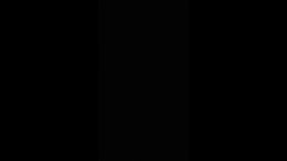 Thumb 7