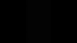 Thumb 8