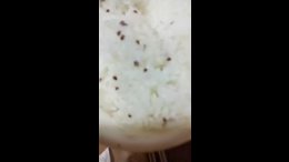 Thumb 11