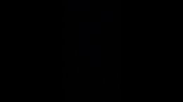 Darkness