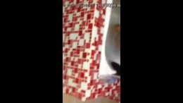 Thumb 14