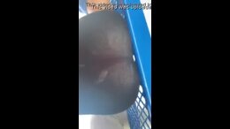 Thumb 9