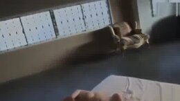 Thumb 15