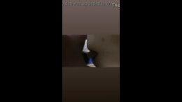 Thumb 11