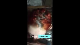 Thumb 12
