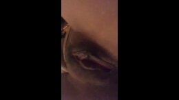 Thumb 15