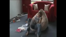 Massive Orgasm
