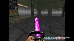Thumb 13